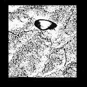 13th month cover image