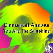 You are the sunshine cover image