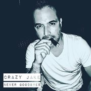 Never goodbyes cover image