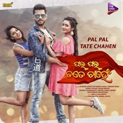 Pal Pal Tate Chahen cover image