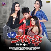 Mr Majnu cover image