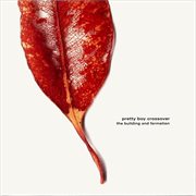 The building and formation cover image