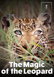 The magic of the leopard cover image