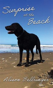 Surprise at the beach cover image