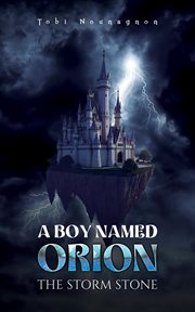 A Boy Named Orion: The Storm Stone cover image