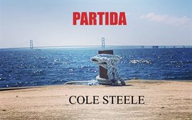 Cover image for Partida