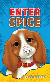 Enter spice cover image