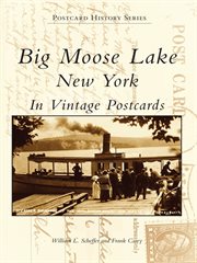 Big moose lake, new york in vintage postcards cover image