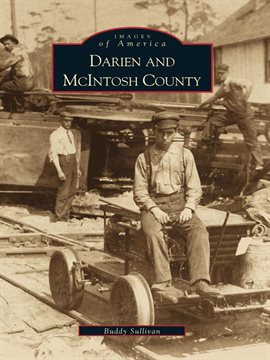 Image de couverture de Darien and McIntosh County