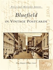 Bluefield in vintage postcards cover image