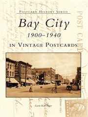 Bay city in vintage postcards cover image