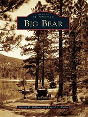 Big bear cover image