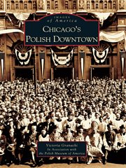 Chicago's polish downtown cover image