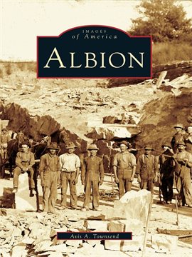 Cover image for Albion