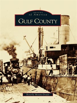 Cover image for Gulf County