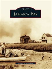 Jamaica bay cover image