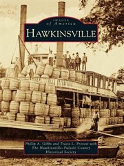 Hawkinsville cover image