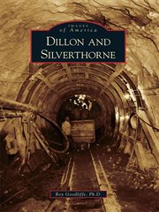 Dillon and Silverthorne cover image