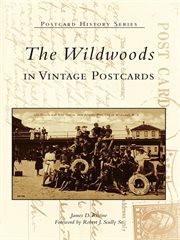 The wildwoods in vintage postcards cover image