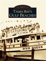Tampa Bay's gulf beaches cover image