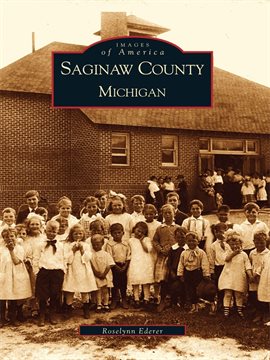 Cover image for Michigan Saginaw County