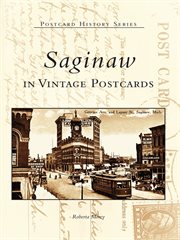 Saginaw in vintage postcards cover image