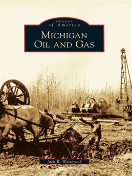 Cover image for Michigan Oil and Gas