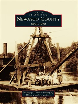 Cover image for Newaygo County
