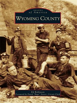 Cover image for Wyoming County