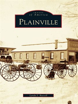 Cover image for Plainville