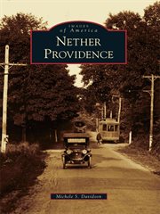 Nether providence cover image