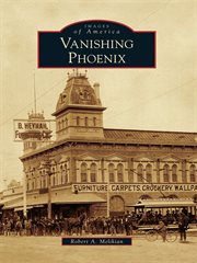 Vanishing Phoenix cover image