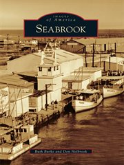 Seabrook cover image