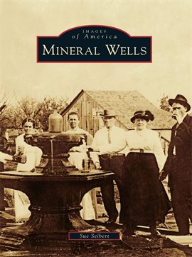 Cover image for Mineral Wells