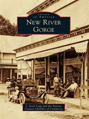 New river gorge cover image
