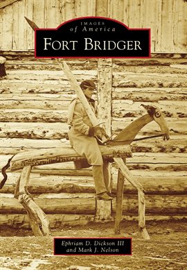 Cover image for Fort Bridger