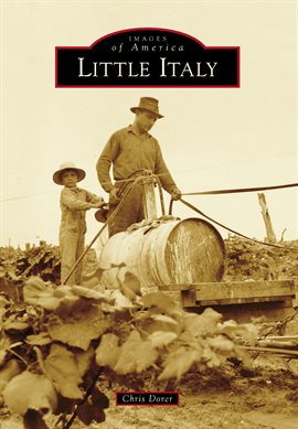 Cover image for Little Italy