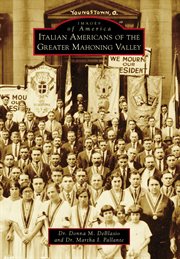 Italian americans of the greater mahoning valley cover image