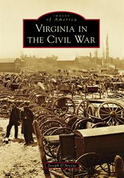 Virginia in the Civil War cover image