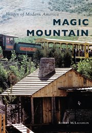 Magic Mountain cover image