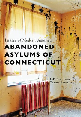 Cover image for Abandoned Asylums of Connecticut