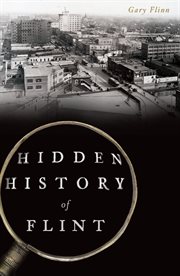 Hidden history of flint cover image