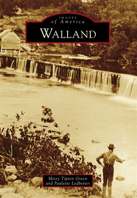 Cover image for Walland