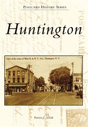 Huntington : the Levi Holley Stone collection cover image