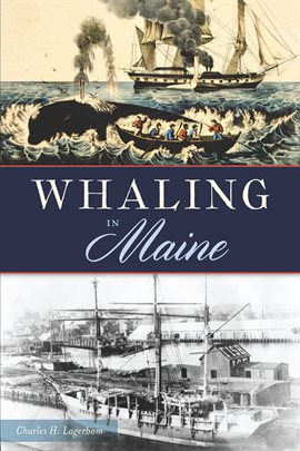 Cover image for Whaling in Maine