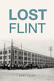 Lost flint cover image