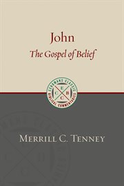 John : the gospel of belief : an analytic study of the text cover image