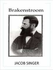 Brakenstroom: stories from South Africa cover image