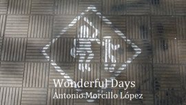 Cover image for Wonderful Days