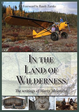 Cover image for In the Land of Wilderness